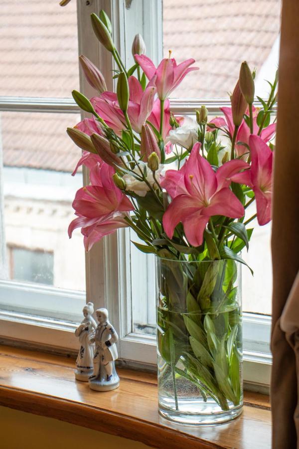 Roberta Hercberga Apartamenti Kuldīga Dış mekan fotoğraf